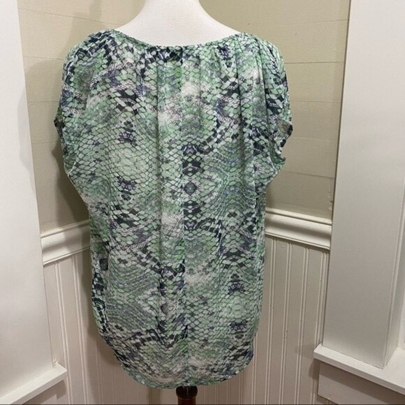 Cabi Sheer Green Printed Blouse Snakeskin Print Floaty Style #746 Small Romantic - Picture 3 of 8
